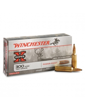 Munitions Winchester 300...