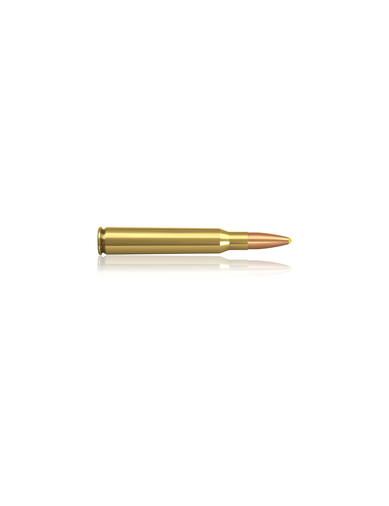 norma 7x64 plastic point 170gr