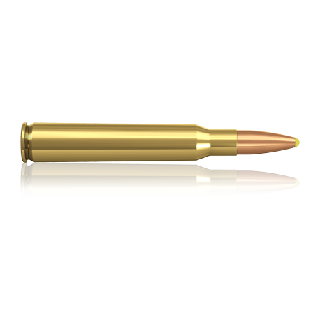 norma 7x64 plastic point 170gr