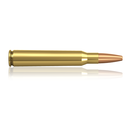 norma 7x64 plastic point 170gr