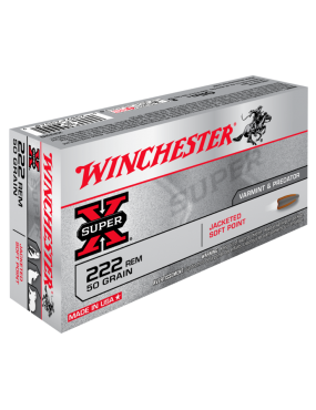 Winchester 243 power max bonded 100gr