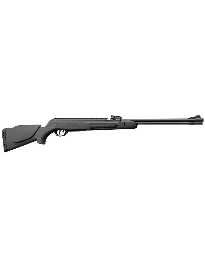 Carabine Gamo Big Cat CFX - 5. 5 mm