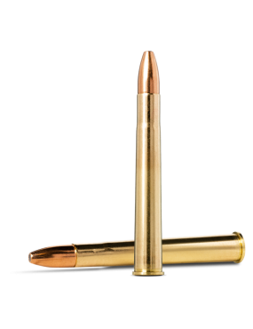 Munitions NORMA 9.3X74R...