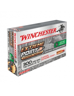 Munitions Winchester 300...