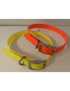 Collier pour chien de...